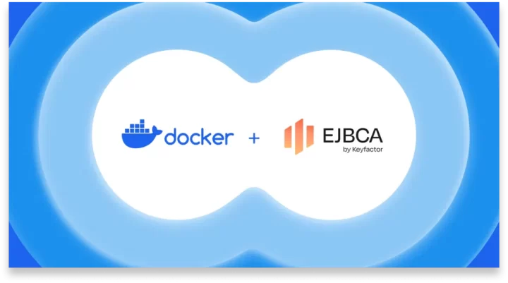 Streamlining-PKI-Management-and-TLS-Certificate-Issuance-2400×1260-1-980×546